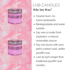 HOLLYWOOD Luxury Candle Scent Inspired By Poppy