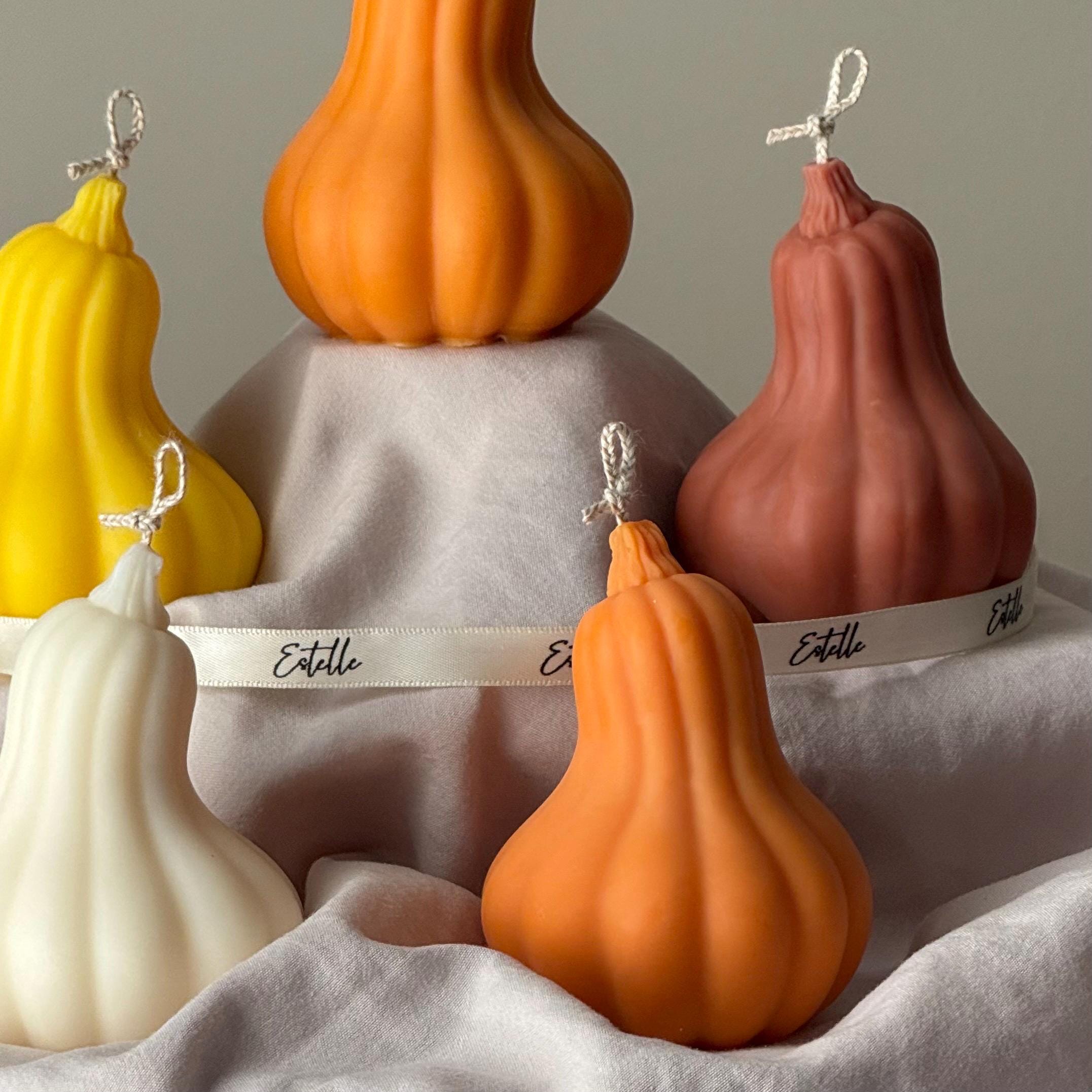 Pumpkin Scented Soy Wax Candle: Autumn Decor, Fall Gift-2