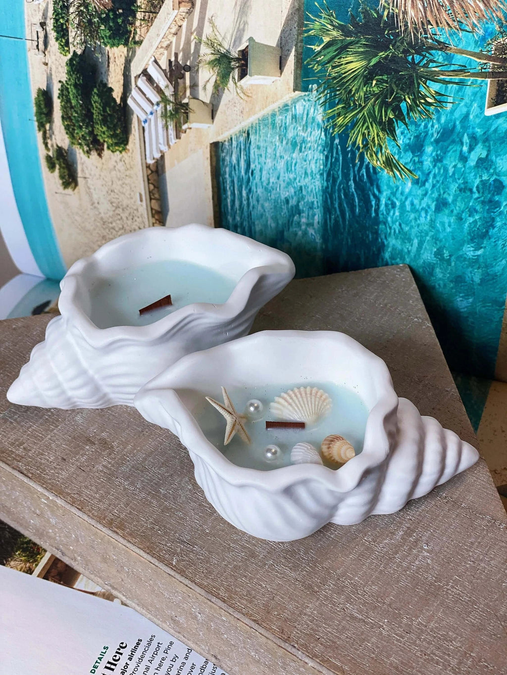Ocean's Whisper Sea Shell Candle — Jesmonite Vessel, Coastal Soy Wax-1