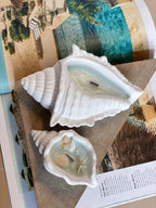 Ocean's Whisper Sea Shell Candle — Jesmonite Vessel, Coastal Soy Wax-3