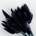 Black Bunny Tails-0