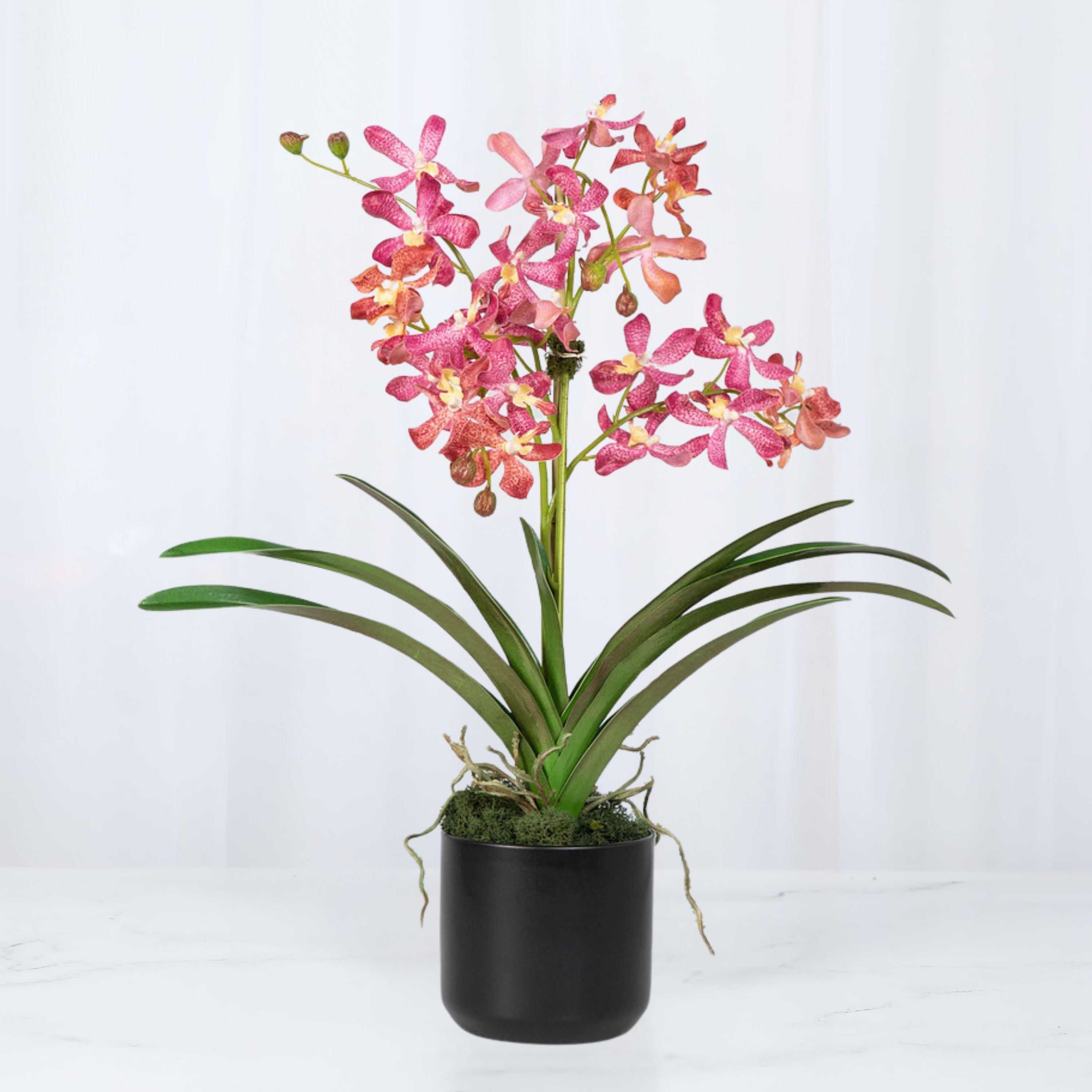 Pink Vanda Orchid Arrangement in Vase - 24"-6