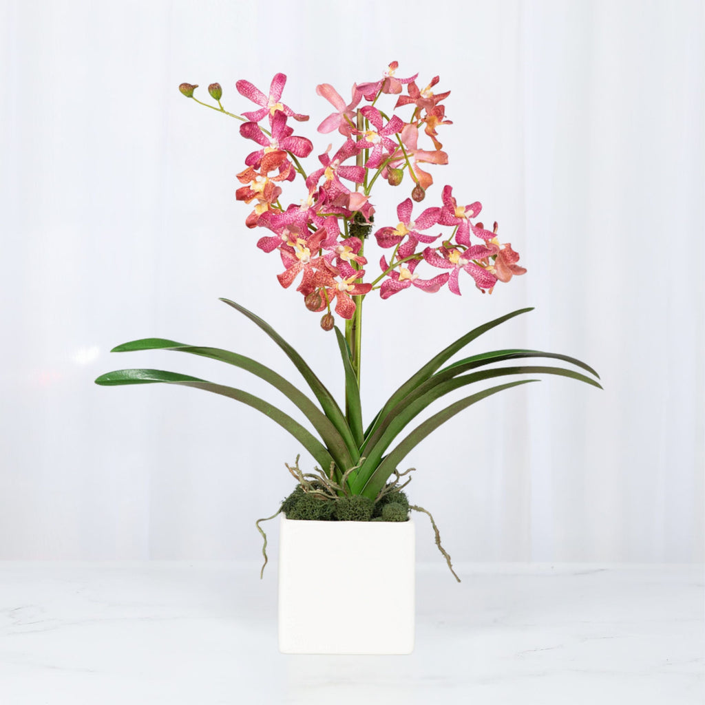 Pink Vanda Orchid Arrangement in Vase - 24"-0