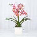 Pink Vanda Orchid Arrangement in Vase - 24"-0