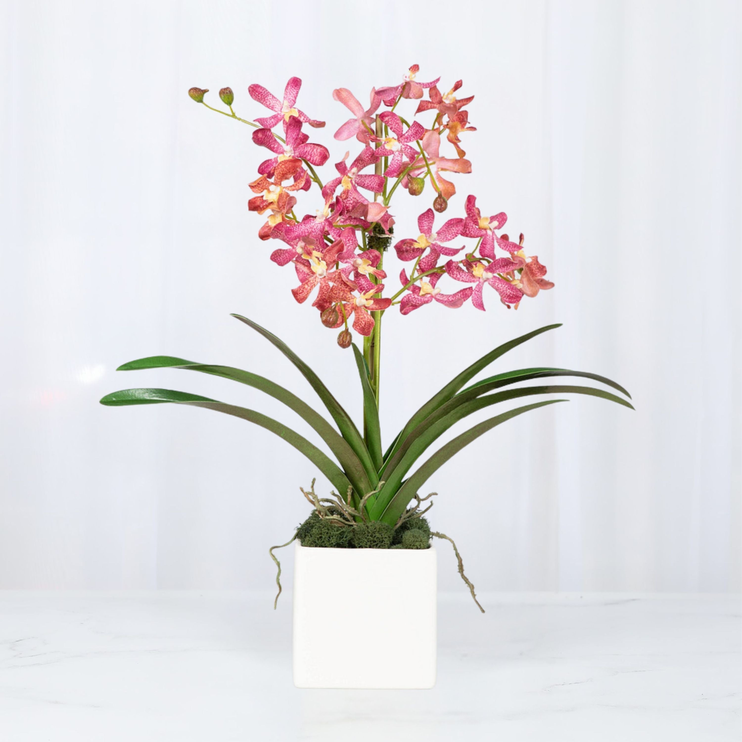 Pink Vanda Orchid Arrangement in Vase - 24"-0