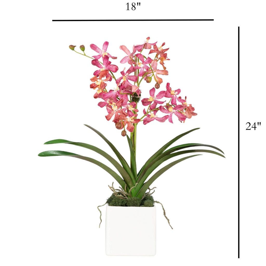 Pink Vanda Orchid Arrangement in Vase - 24"-2