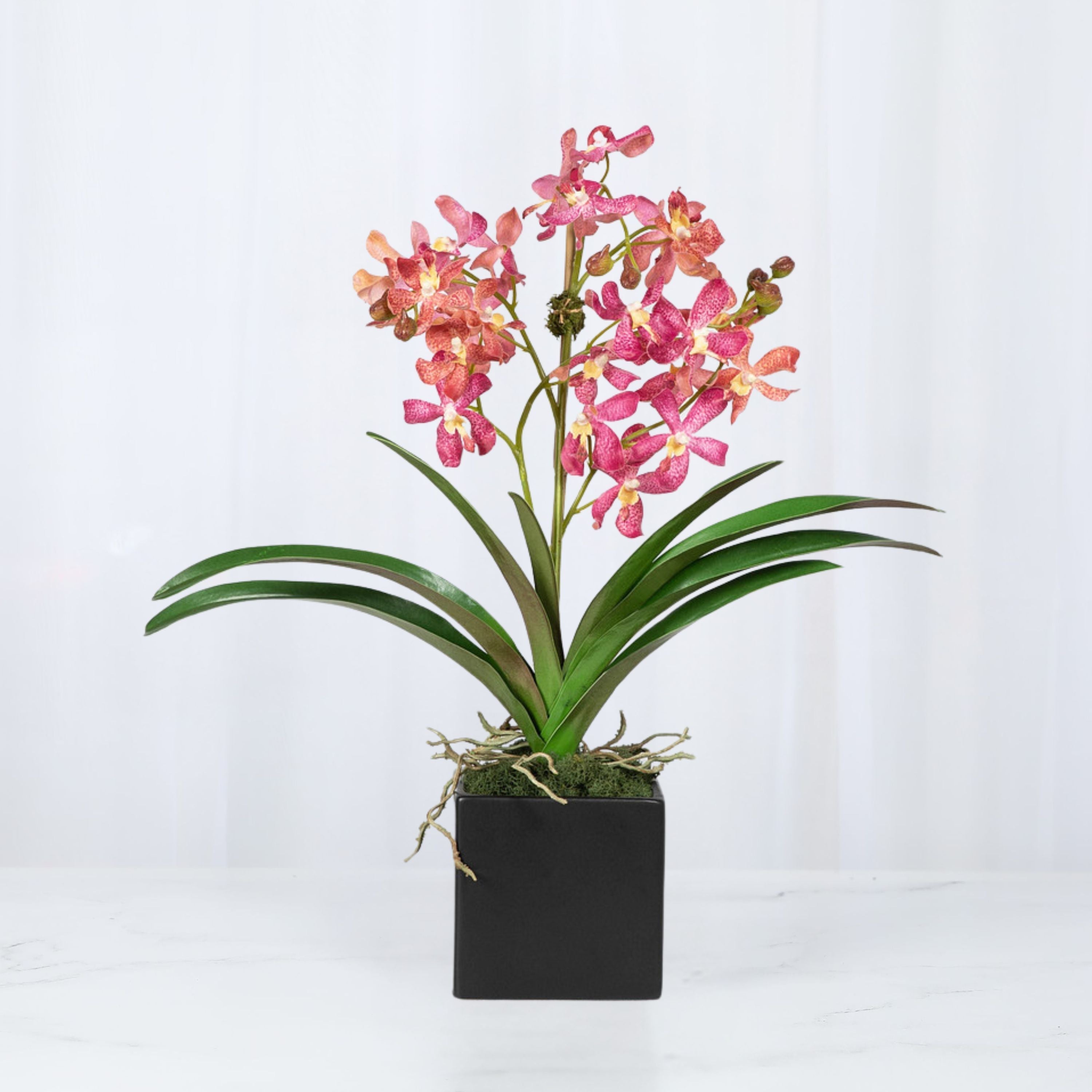 Pink Vanda Orchid Arrangement in Vase - 24"-3