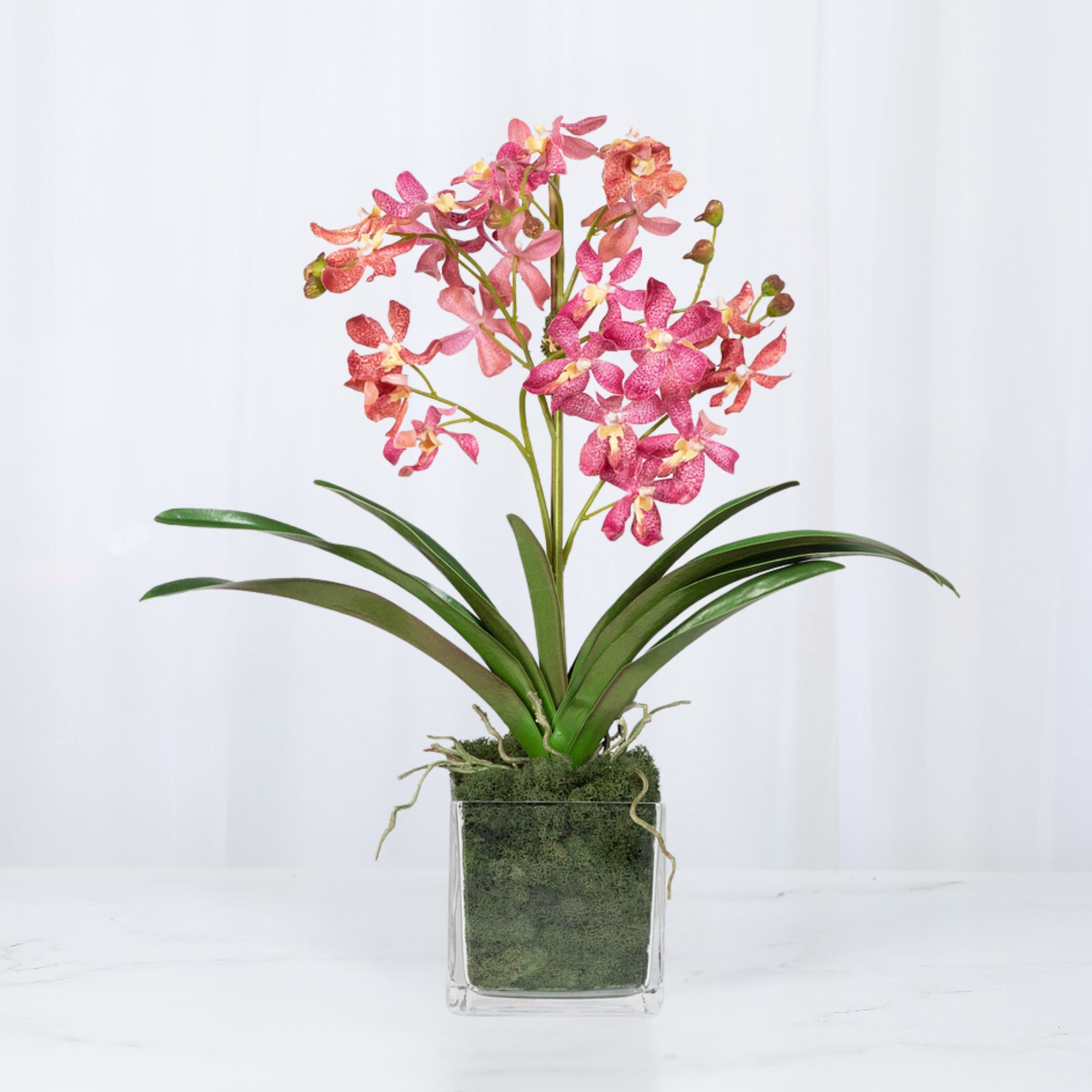 Pink Vanda Orchid Arrangement in Vase - 24"-7