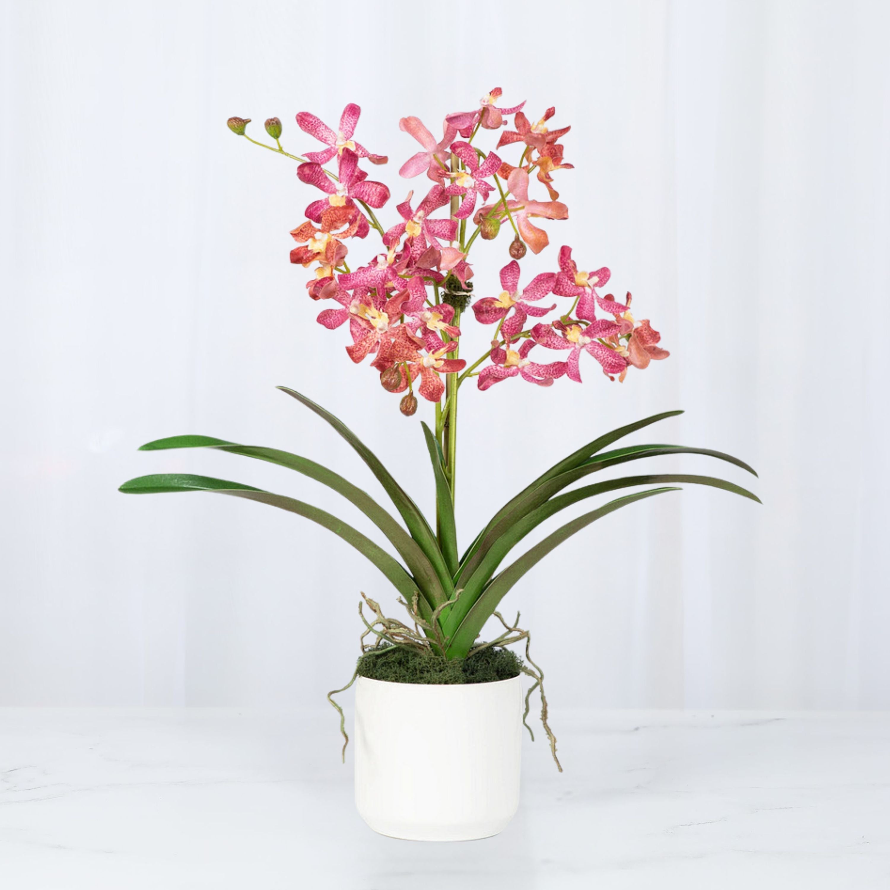 Pink Vanda Orchid Arrangement in Vase - 24"-5