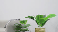 Video tour displaying the gold honeycomb plant stand set from multiple angles in a bright, modern living room setup.