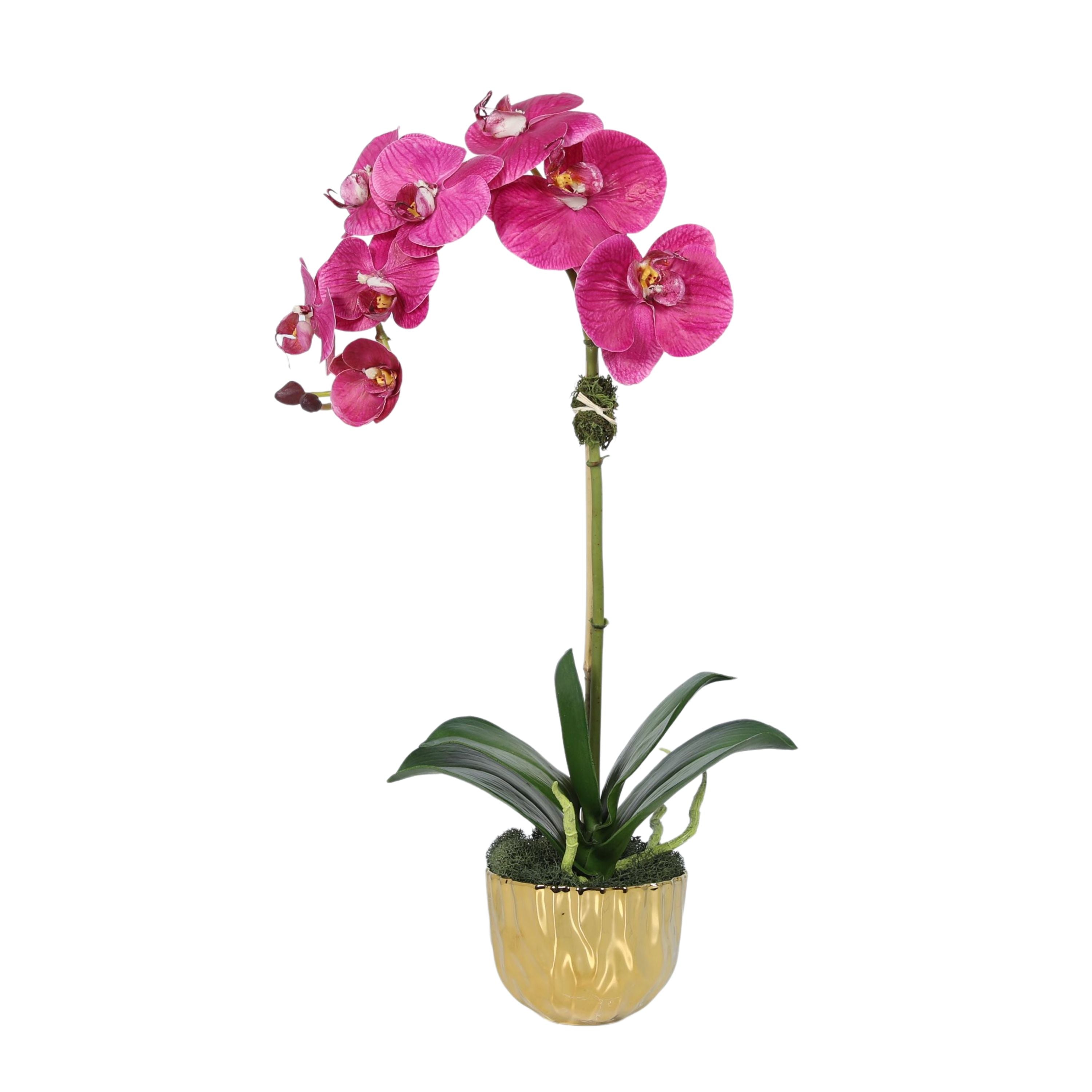 Phalaenopsis Orchid Plant in Gold Vase - 18"-4