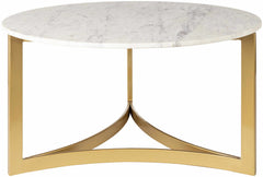 Reinsberg Coffee Table - Clearance