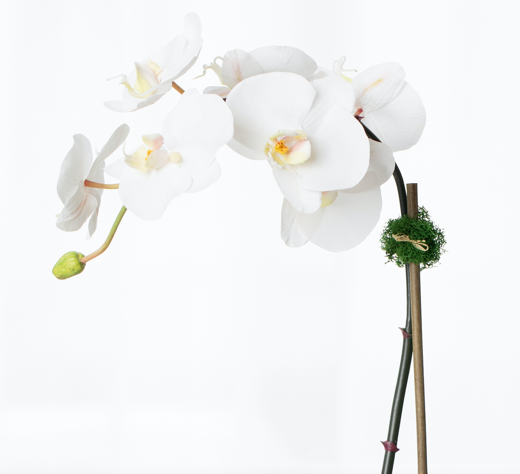 Faux Potted Orchid Plant - White Phalaenopsis Orchid in Black Pot - 21"-3