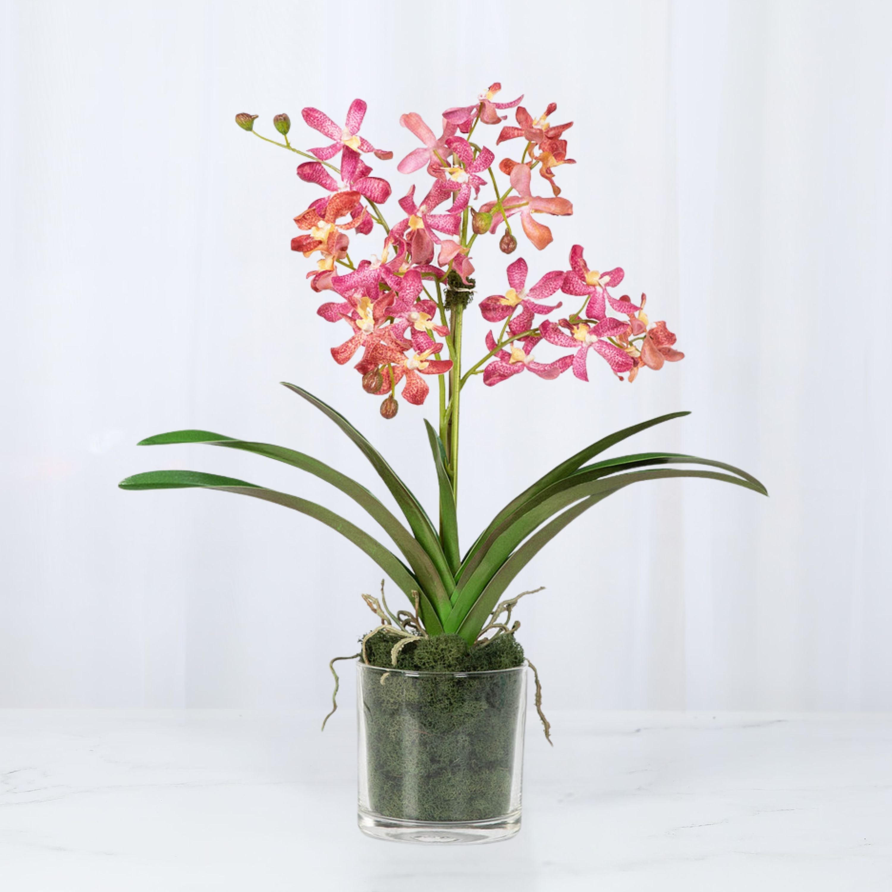 Pink Vanda Orchid Arrangement in Vase - 24"-8