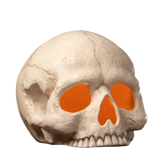 Skull with lighten eye sockets on a white background