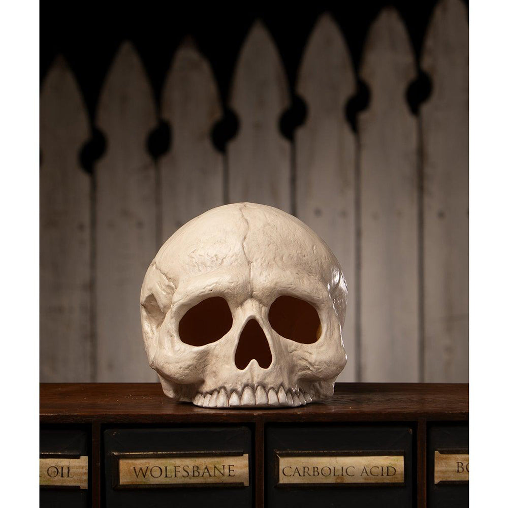 Skull model on a wooden surface with a wooden cabinet labeled 'Wolfsbane' and 'Carabolic Acid' in the background.