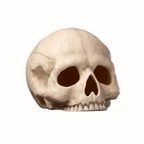 Skull Votive model on a white background