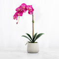 Real Touch Pink Phalaenopsis Orchid Plant - 21"-0