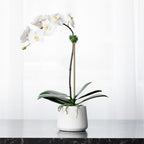 Artificial orchid plant - white orchid in white pot - 21"-0