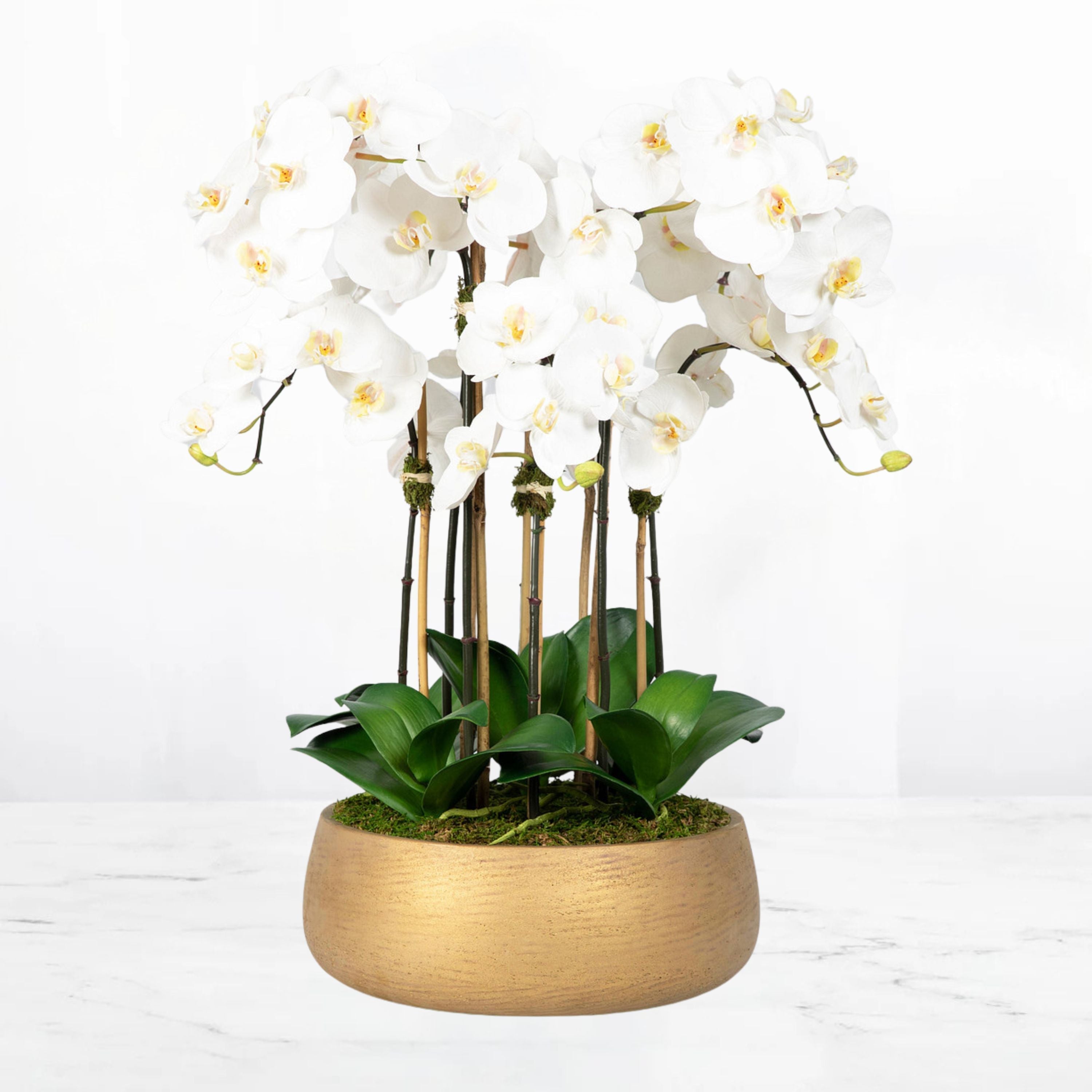 Faux Orchid Arrangement in Matte Gold Planter-0